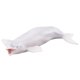 thumbnail image 1 of Tiburón Animal marino Zulema Modelo Niñas Educativo Miniatura Ballena beluga Escultura educativa del mar, 1 of 8