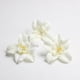 thumbnail image 5 of 20 orquídeas para decorar diademas, ramos, vestidos, sombreros y bodas (DIY). Blanquecino, 5 of 7