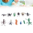thumbnail image 4 of Simulation  Model, Lifelike Vivid Exquisite Beautiful  Model 12pcs Plastic Material Soft Odorless  for Educational Toys, 4 of 7