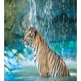 thumbnail image 3 of Ambesonne Tiger Duvet Cover Sets, Feline Animal in Pond, 2-Queen, Pale Brown Turquoise, 3 of 7