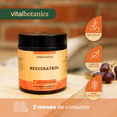 thumbnail image 2 of VitalBotanics | Resveratrol + Acai Suplemento Multivitamínico con Vitamina C, Resveratrol, Arandano y Acaí 60 Caps VITALBOTANICS RESVTROL_60, 2 of 7