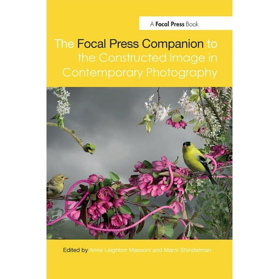The Focal Press Companion to the Constructed Image in Contemporary Photography, (Paperback)