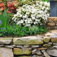 thumbnail image 5 of STRANDCHIC Green Artificial Grass Decorative Plastic Fake Plants for Flower Arranging and Home Decor, Set, 5 of 6