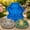 As shown1, variant on Reusable Stepping Stone Mold, 15.7'' Stepping Stone Molds, Cement Molds for Concrete, Plastic Concrete Mold for Casting Garden and Walkway, for Wedding Anniversary Party