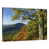 30 x 40 in. Broadleaf Forest in Fall Colors As Seen From Doyles River Overlook, Shenandoah National Park, Virginia Art Print - Tim Fitzharris
