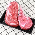 thumbnail image 4 of Sound Toys Simulation Steak Bite Resistant Oxford Cloth Interactive Molar Chewing Toy for Puppy, 4 of 11