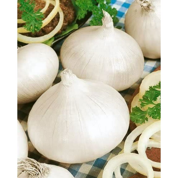 Todd's Seeds White Sweet Spanish, RM Long Day Onion Seed - 2g Packet