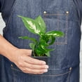 View all media