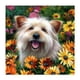 thumbnail image 2 of Cuadros Decorativos Diamante pintura Daisy perro completo redondo taladro imagen de diamantes de imitación DIY dibujo Ndcxsfigh Nuevos Originales, 2 of 8