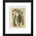 thumbnail image 2 of Vintage Conifers I, Framed Art Print Wall Art Sold by Art.Com, 2 of 6