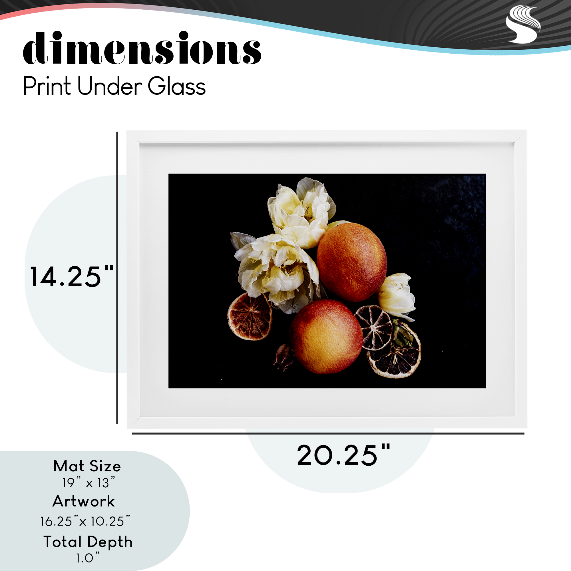 The Still Spring Fruit White Framed Print Under Glass, design by Amy Carroll