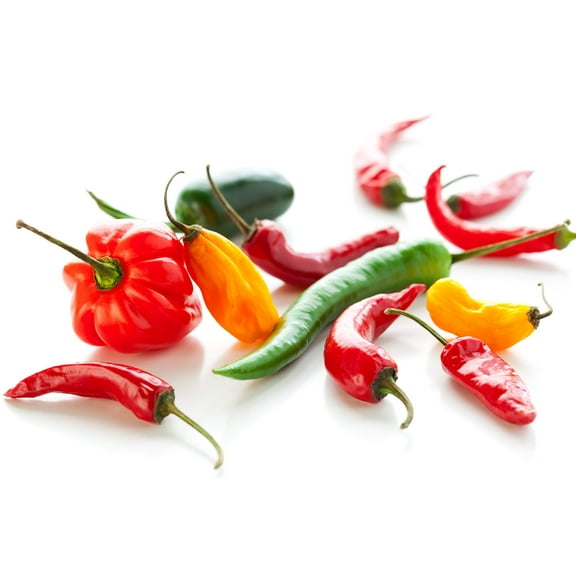 Big Pack of Hot Pepper Seeds - 4 Types - Jalapeno Pepper, Habenero Pepper, Long Cayenne Red Pepper and Anaheim Chilli - 100 Seeds of Each Type to Grow