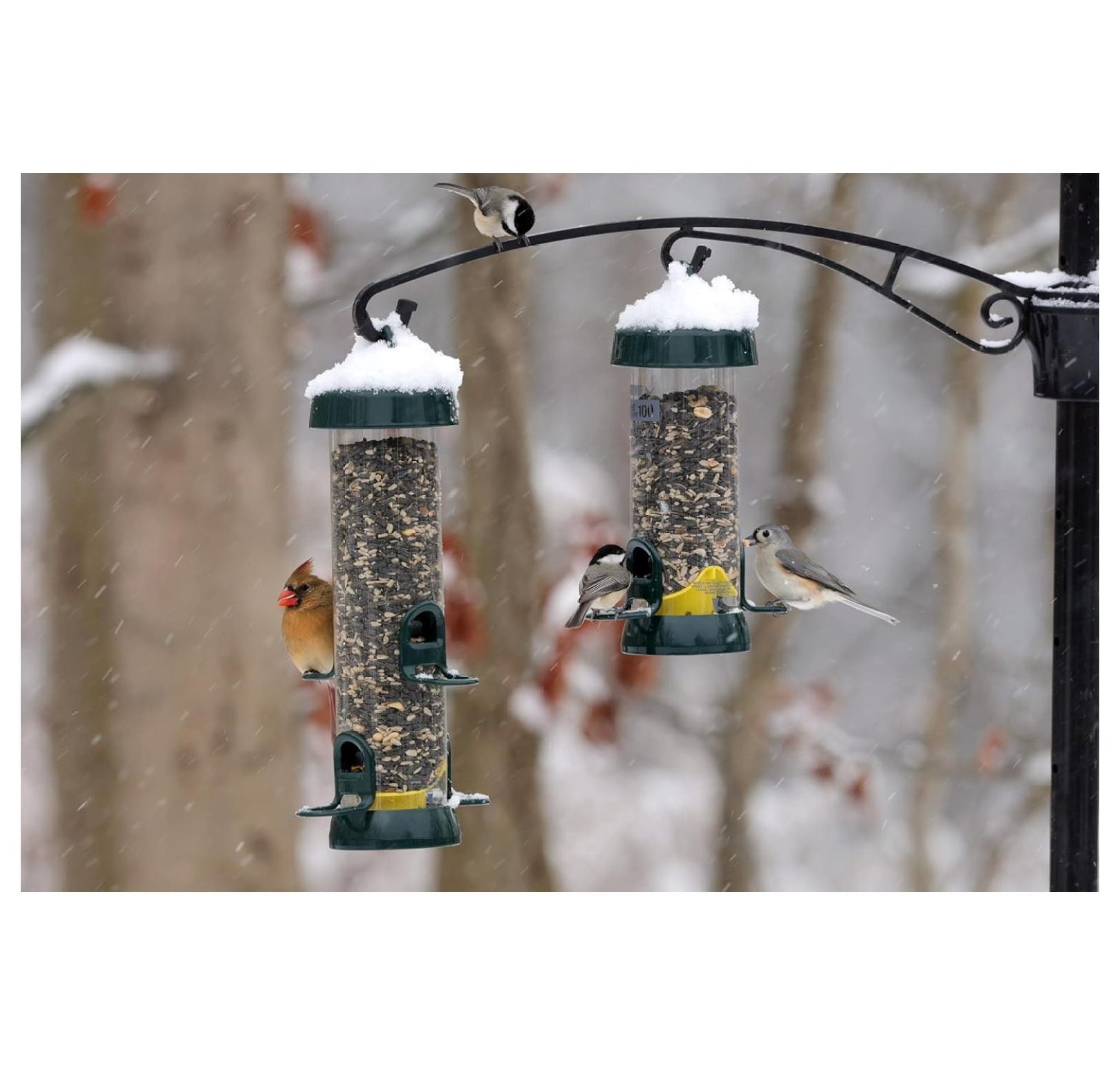 Tube 150 Wild Feeder w/4 Seed Ports, 2.6-Pound Seed Capacity, Pole-mountable