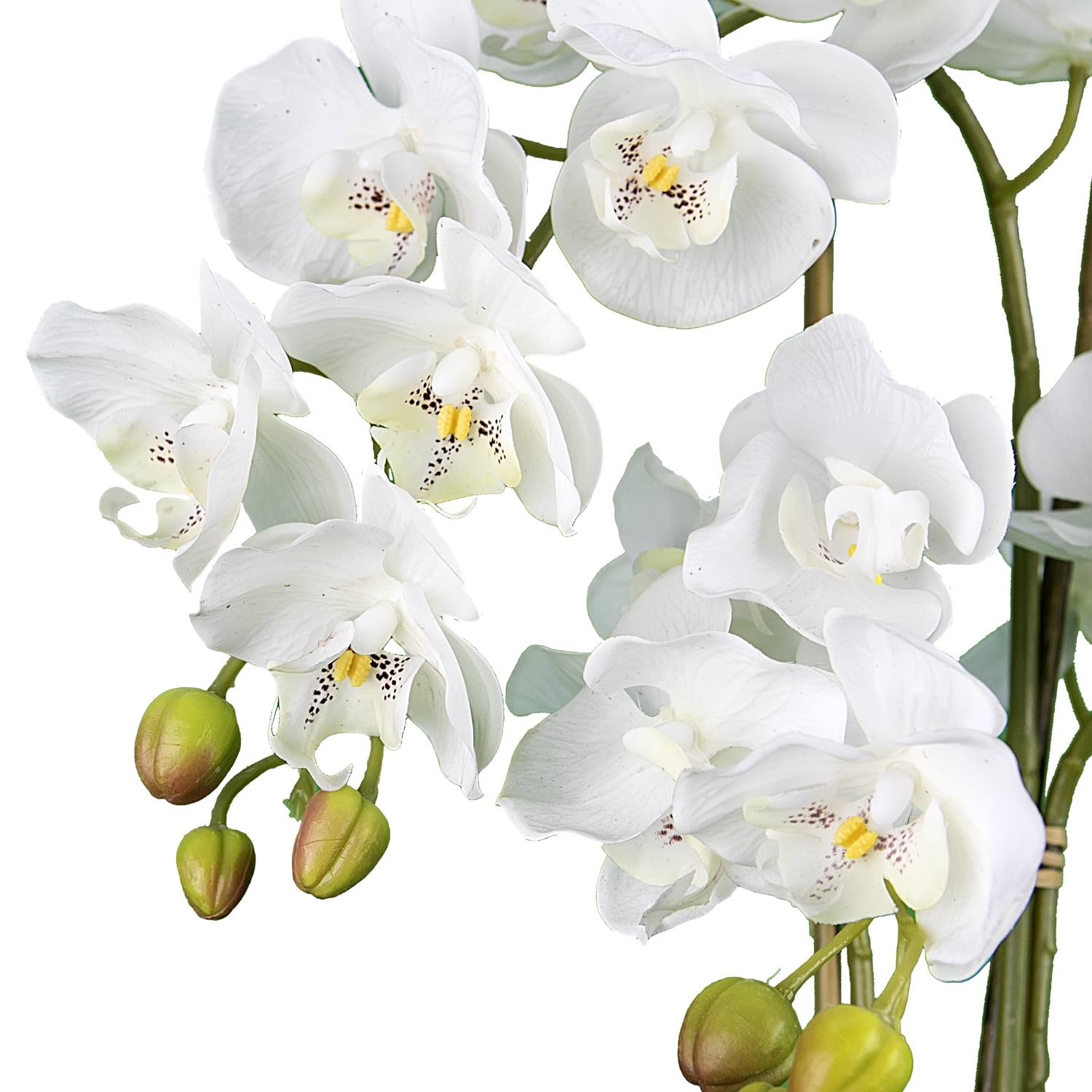 Artificial Plant, 2.67ft Artificial White Orchid in a Black Embossed Ceramic Pot by LCG Florals, Faux Designer Fake Indoor Tree for Living Room, Office, and Home Décor