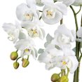 thumbnail image 3 of LCG Florals Artificial Plant, White Orchid, 2.67 ft, White Embossed Ceramic Pot, 3 of 5