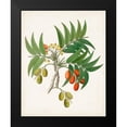 thumbnail image 2 of Unknown 12x14 Black Modern Framed Museum Art Print Titled - Botanical of the Tropics VI, 2 of 5