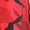 Red, variant on Wind Breaker Jackets Mens Trench Coat Men Waterproof Windbreaker Jacket Pea for Fashion Summer Bomber Outdoor Red