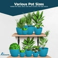 thumbnail image 4 of Blue Plant Pots with Drainage Holes & Saucers 20 Packs, Indoor & Outdoor Stackable Plastic Planters in Multiple Sizes for Houseplants & Flowers, Durable & Weatherproof Materials, Matte Finish, 4 of 4