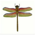 thumbnail image 1 of Great BIG Canvas | Rolled Vision Studio Poster Print entitled Miniature Dragonfly III, 1 of 4