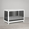 Little Seeds Rowan Valley Flint Crib, Multiple Colors