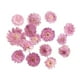 thumbnail image 5 of Paquete de 10 Hojas Secas Prensadas Sunnimix para Tarjetas de Marcapáginas de Manualidades DIY 5 piezas, 5 of 8