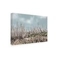 thumbnail image 2 of Blue Palomino 'Beach Sage In Silver' Canvas Art, 2 of 3
