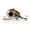6, variant on Big Eyes Fishing Lure Vibrations Rattling Ball Artificial Hard Lipless Baits Freshwater Saltwater Fishing Tackle
