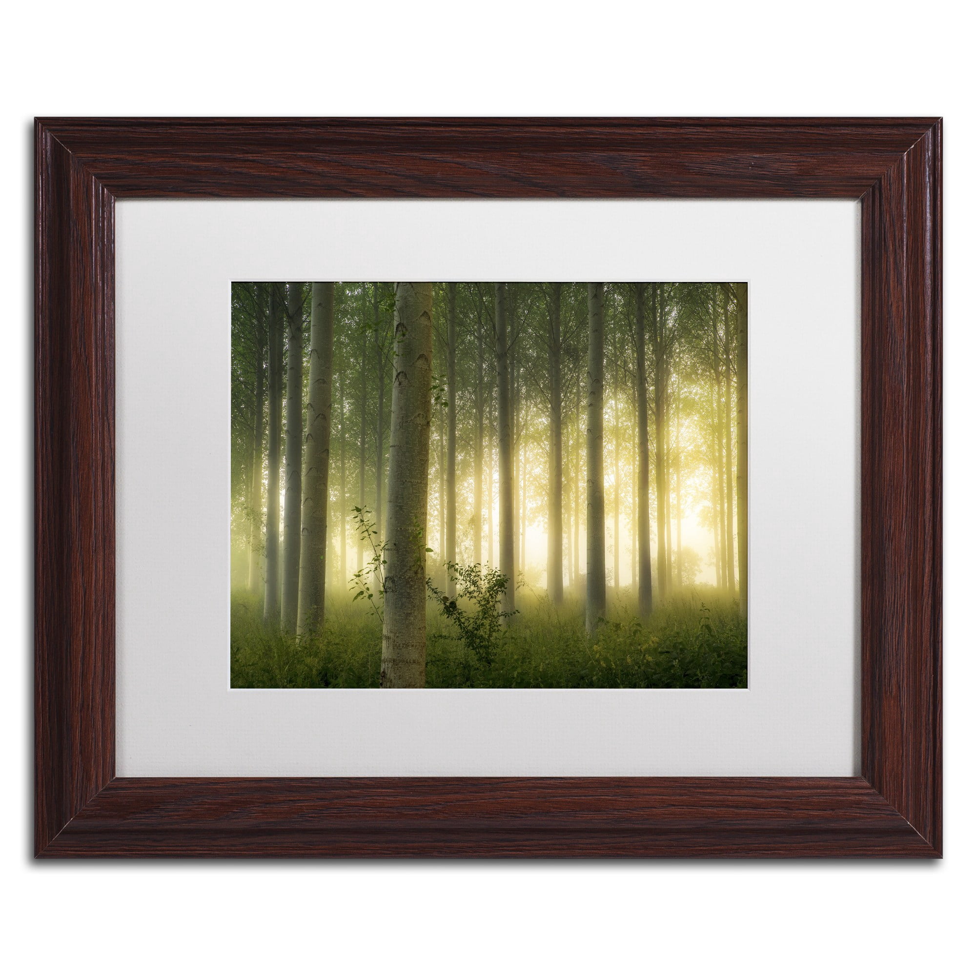 Trademark Fine Art "Enchanted World" Canvas Art by Mathieu Rivrin, White Matte, Wood Frame