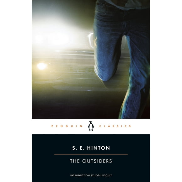 Pre-Owned The Outsiders (Paperback) 0143039857 9780143039853