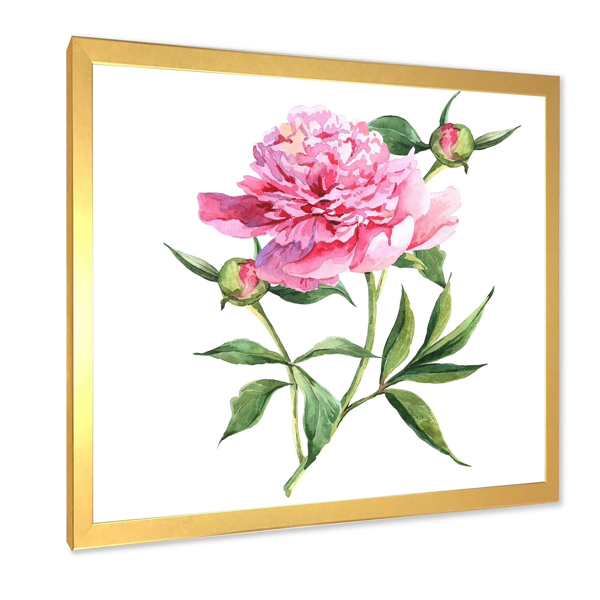 Designart 'Ancient Pink Peonies' Traditional Framed Art Print