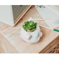 thumbnail image 5 of Disney The Aristocats Marie 4-Inch Mini Planter With Artificial Succulent, 5 of 8