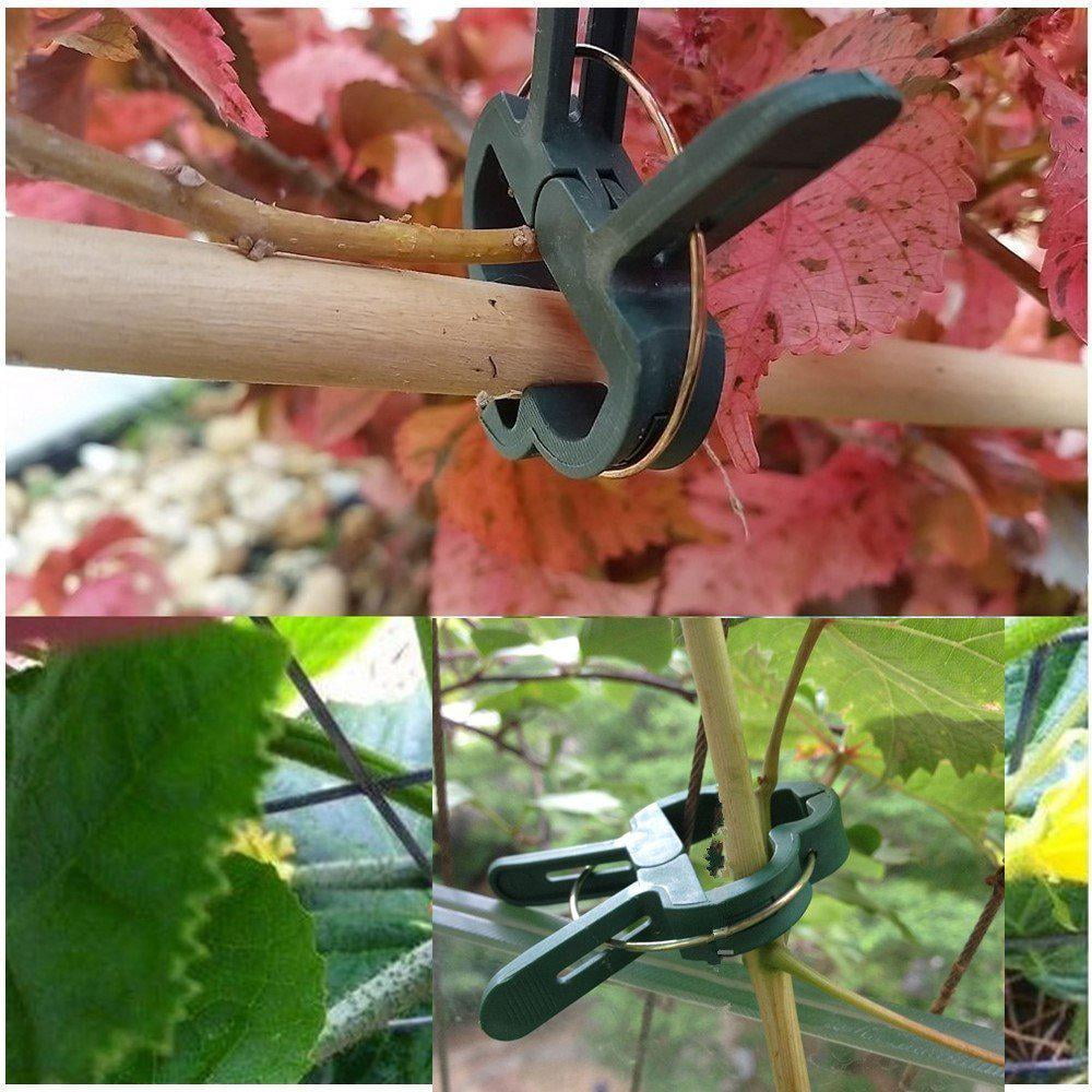 200pcs Plant Support Clips Useful Tomato Veggie Garden Trellis Twine Greenhouse