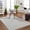 Light Slate, Gray / Aldis, variant on BoutiqueRugs Aldis Bohemian, Transitional Area Rug - Machine Washable - Cream, Ivory - 5' x 7'