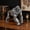 Mechanical Orangutan, variant on Lion Tiger Statue and Carved Sculpture Mechanical Punk Style Beast Dino Animal Steampunk Modern Home Decor Resin Gorilla Statues for Table,Living Room,Entrance,Shelf Decor