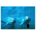 thumbnail image 1 of Dolphin Ceramic Tile Mural Kitchen Backsplash Bathroom Shower, 402797-S64, 1 of 9