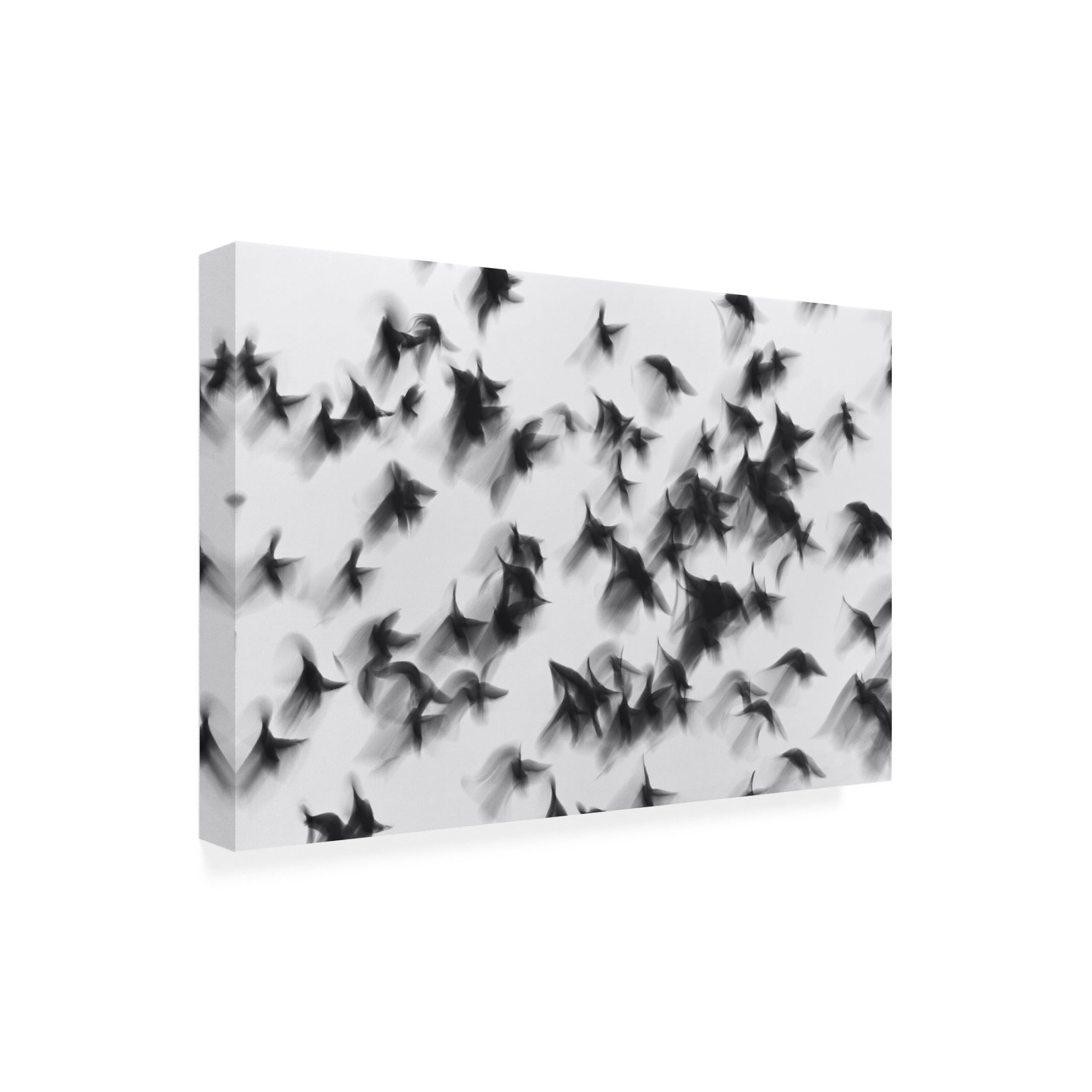 Canvas Wall Art - Marina Yushina 'Birds' Wall Art for Living Room, Bedroom, or Office D?cor by Trademark Fine Art - 19 x 12 Inches