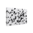 thumbnail image 4 of Canvas Wall Art - Marina Yushina 'Birds' Wall Art for Living Room, Bedroom, or Office D?cor by Trademark Fine Art - 19 x 12 Inches, 4 of 4
