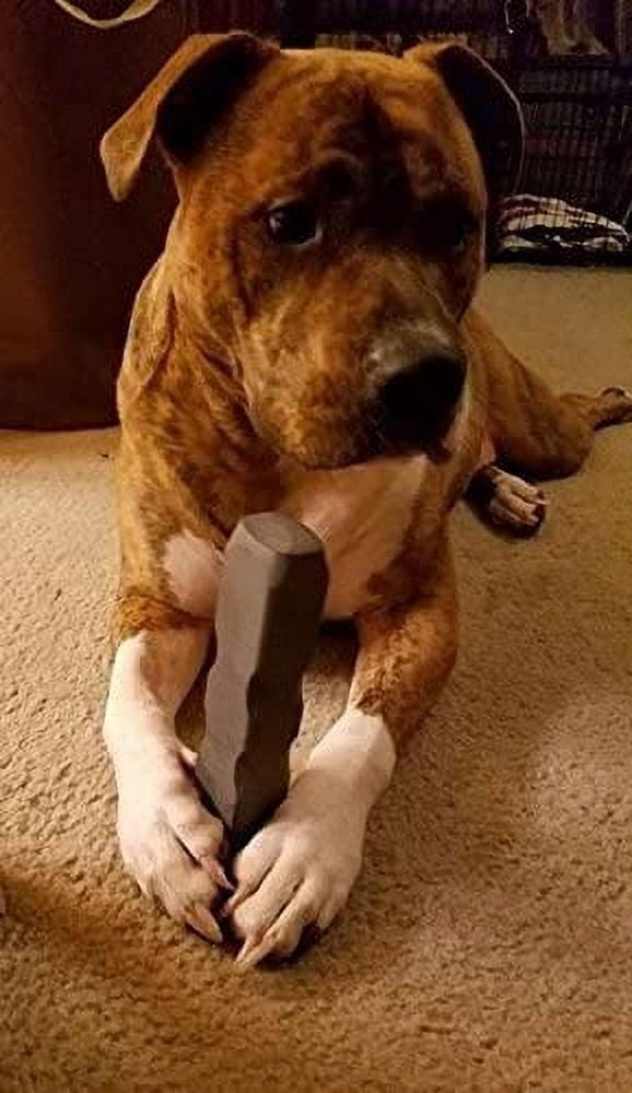 Indestructibone Mega Max Virtually Indestructible Chew Toy for Dogs 51-100 Pound