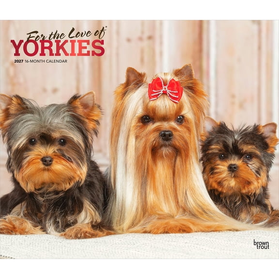 For the Love of Yorkshire Terriers 2027 14x24" (Hanging) Calendar | Plastic-Free