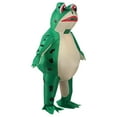 thumbnail image 2 of Disfraz Inflable Rana Yuyangstore Traje de Cuerpo Completo Carnaval L, 2 of 8