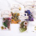 thumbnail image 1 of Juego de 160 pegatinas de flores y plantas, pegatinas transparentes para álbumes de recortes, pegatinas decorativas diy para álbumes de recortes, álbumes diarios, libros, portátiles, Banban LingWen 8390605174322, 1 of 1