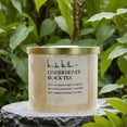 thumbnail image 4 of Nicole Miller 14.5 oz Soy Wax Blend 3 Wick Candle - Ginger Honey Black Tea, 4 of 4