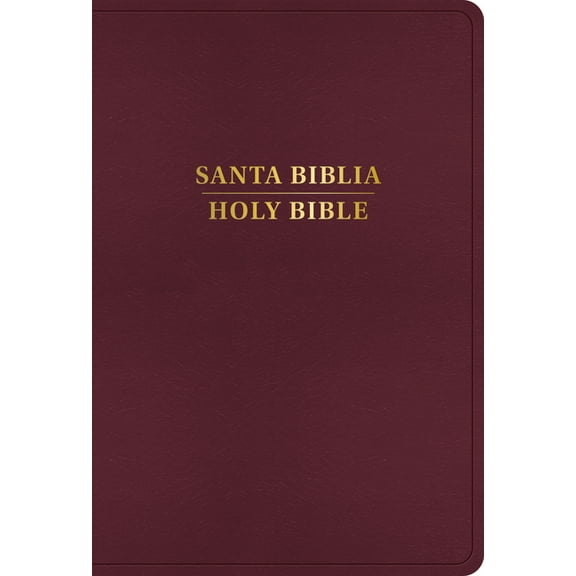Rvr 1960/KJV Biblia BilingÃ¼e Letra Grande, BorgoÃ±a ImitaciÃ³n Piel Con Ãndice (EdiciÃ³n 2024), (Hardcover)