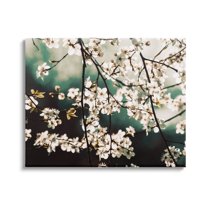 Cherry Blossom Nature Photography Botanical & Floral Photograph Gallery Wrapped Canvas Print Wall Art