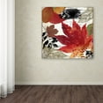 thumbnail image 4 of Trademark Fine Art "Equinox I" Canvas Art by Color Bakery, 4 of 4