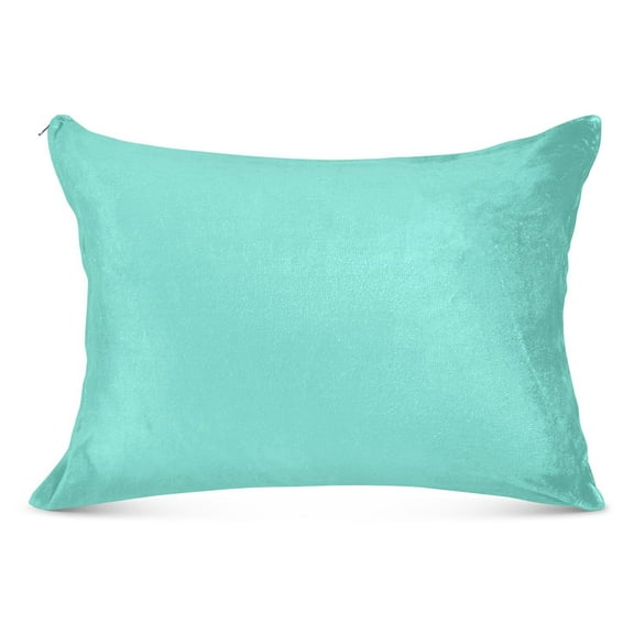 Calamine Blue Plush Pillow Cases Standard Size Ultra Soft Warm Pillowcases with Zipper 20"x26"