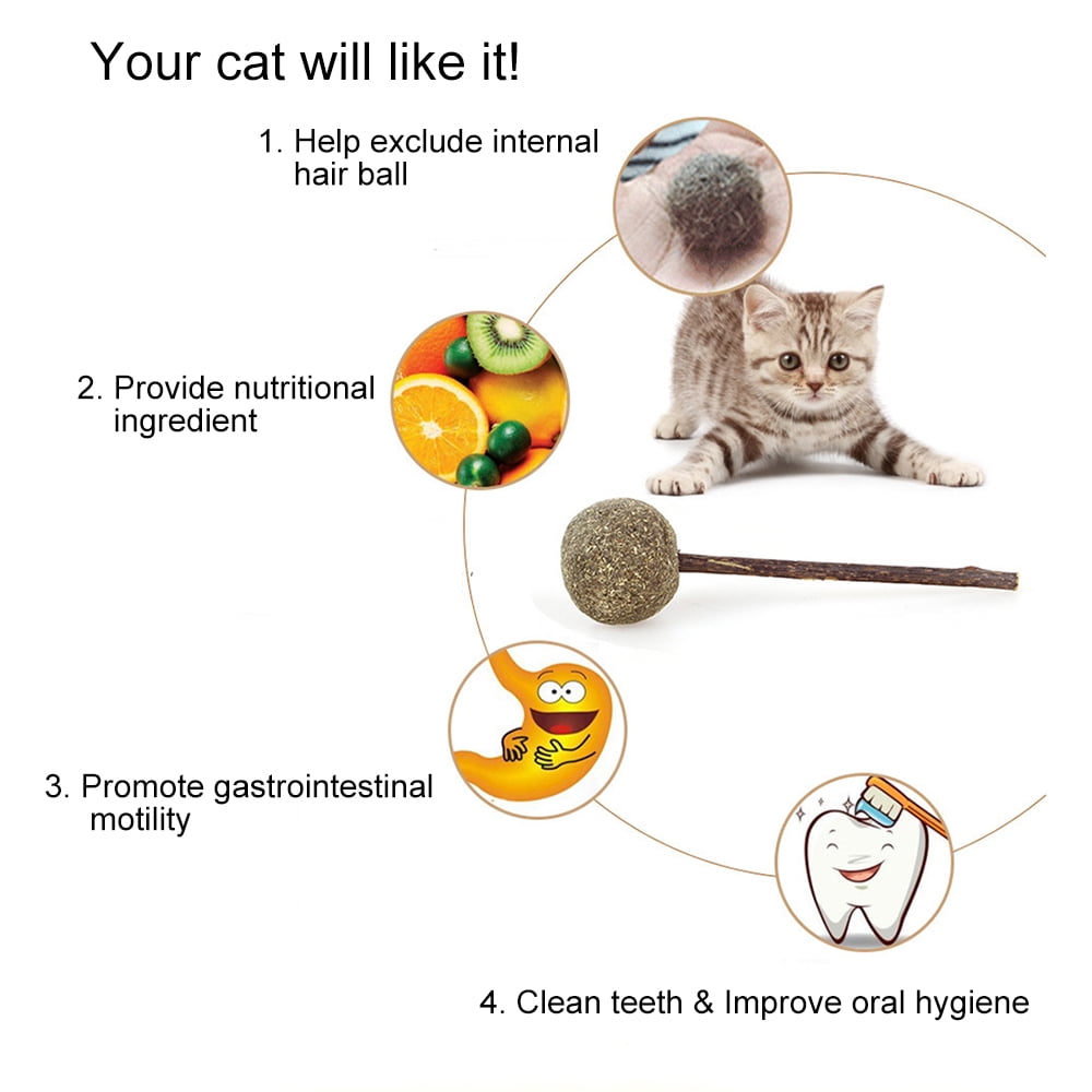 catnip lollipop with matatabi stick