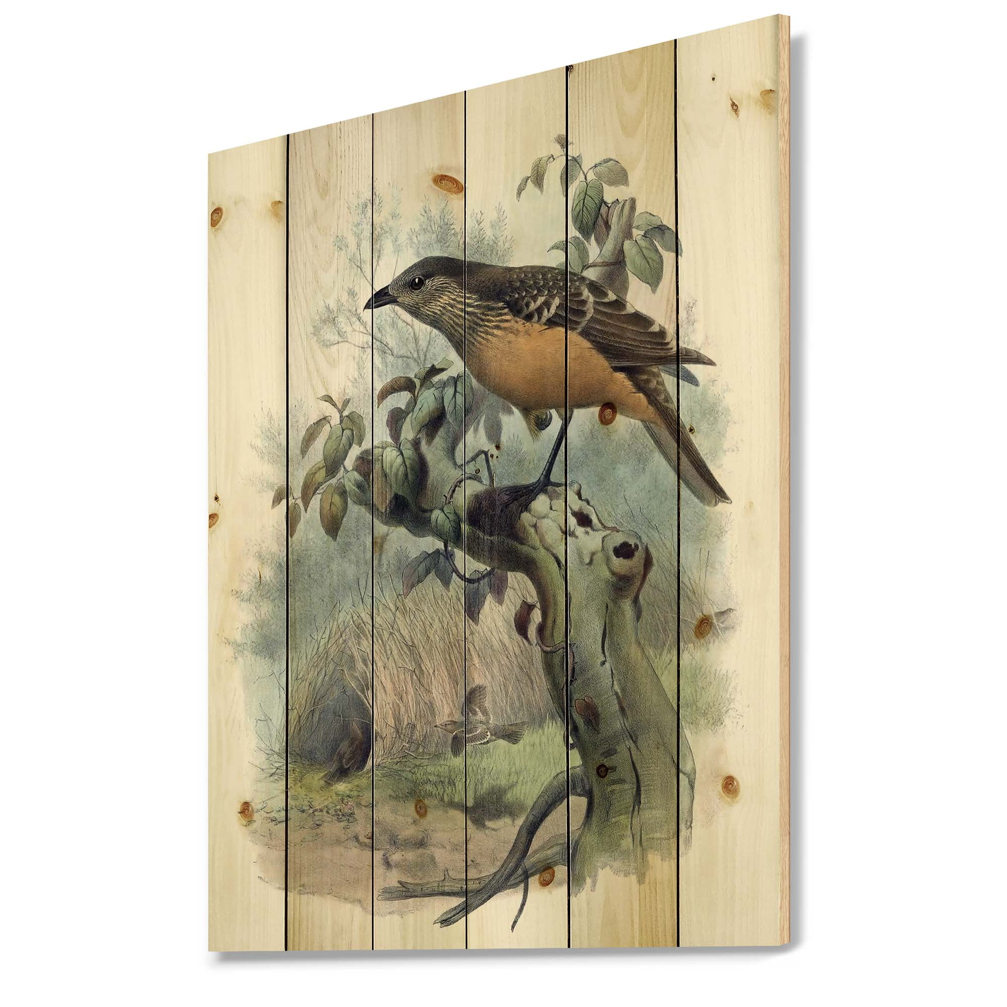 Designart 'The Paradise Birds on a Tree Branch' Traditional Print on Natural Pine Wood