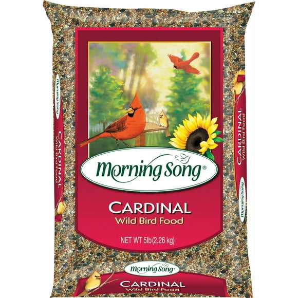 Bradley Caldwell Inc Chanson du Matin CARDINAL Nourriture pour Oiseaux Sauvages, (Lot de 1)