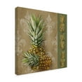 thumbnail image 2 of Trademark Fine Art 'Pineapple Welcome II' Canvas Art by Jade Reynolds, 2 of 4